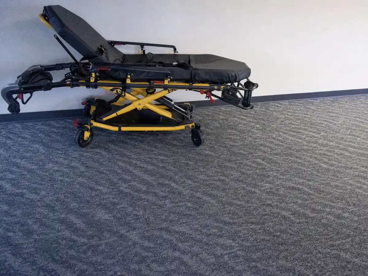 Carpet Stretching in Pacific Palisades, CA