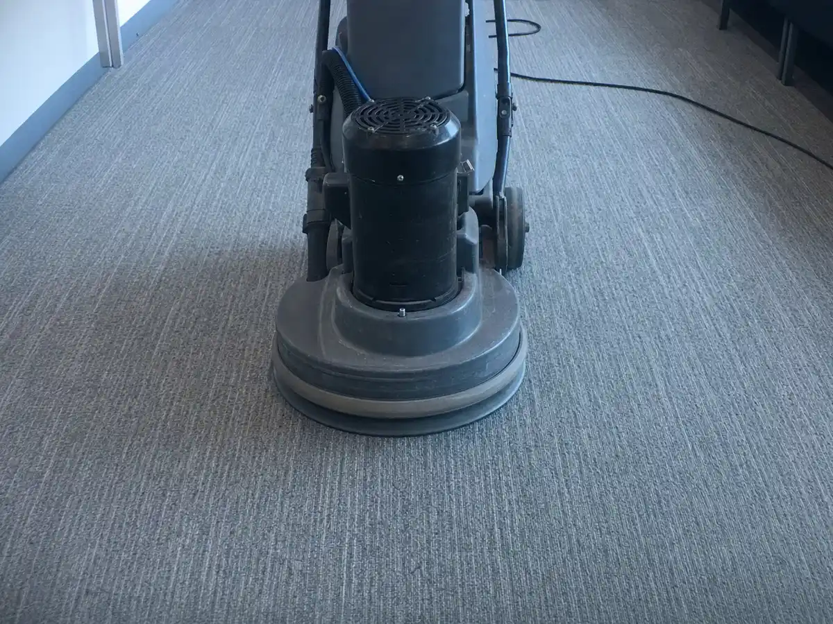 Commercial Carpet Cleaning in Pacific Palisades, CA